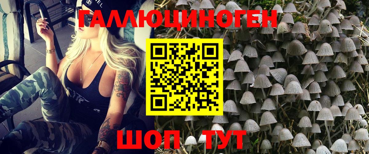купить наркотики сайты  Вход с VPN  Галлюциногенные грибы Psilocybine cubensis  Электросталь  Галлюциногенные грибы Cubensis 