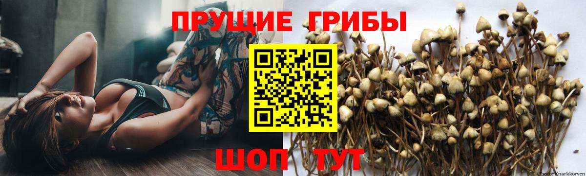 Галлюциногенные грибы MAGIC MUSHROOMS Электросталь